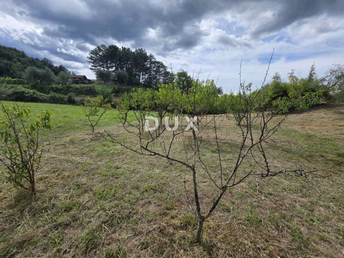 ISTRA, HUM – Privlačna 8,4 ha velika posest z dvema legaliziranima hišama in gradbenim zemljiščem!