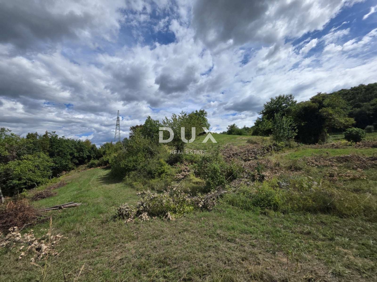 ISTRA, HUM – Privlačna 8,4 ha velika posest z dvema legaliziranima hišama in gradbenim zemljiščem!