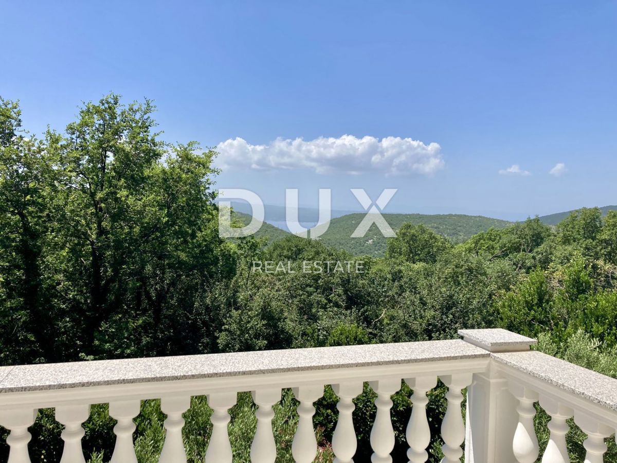 CRIKVENICA, GRIŽANE - Čudovita samostojna hiša z bazenom in pogledom na morje!