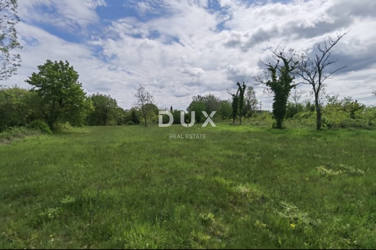 ISTRA, VIŠNJAN - Odlična investicijska priložnost