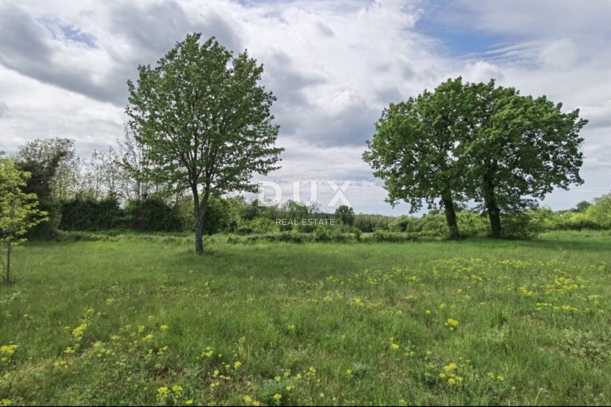 ISTRA, VIŠNJAN - Odlična investicijska priložnost