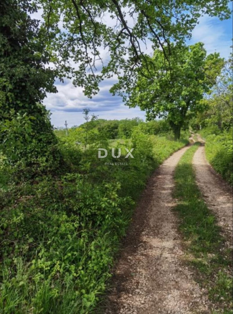 ISTRA, VIŠNJAN - Odlična investicijska priložnost