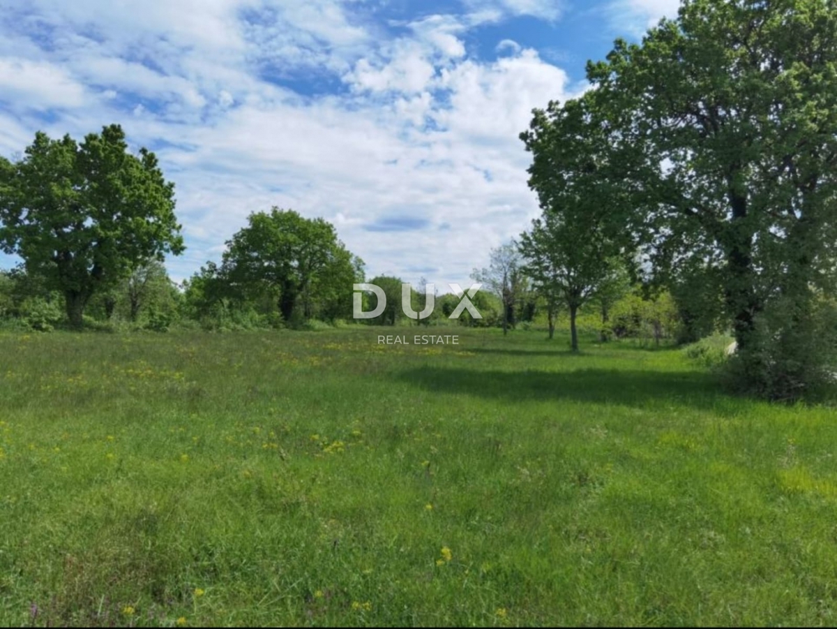 ISTRA, VIŠNJAN - Odlična investicijska priložnost