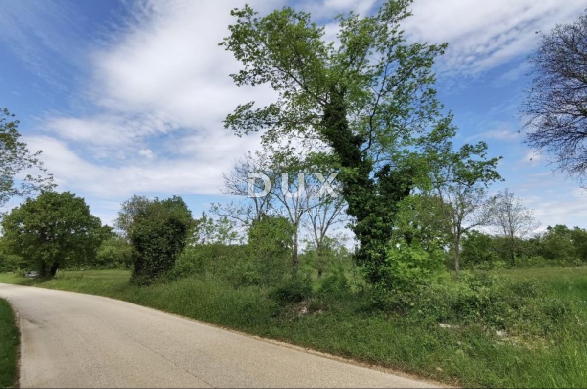 ISTRA, VIŠNJAN - Odlična investicijska priložnost