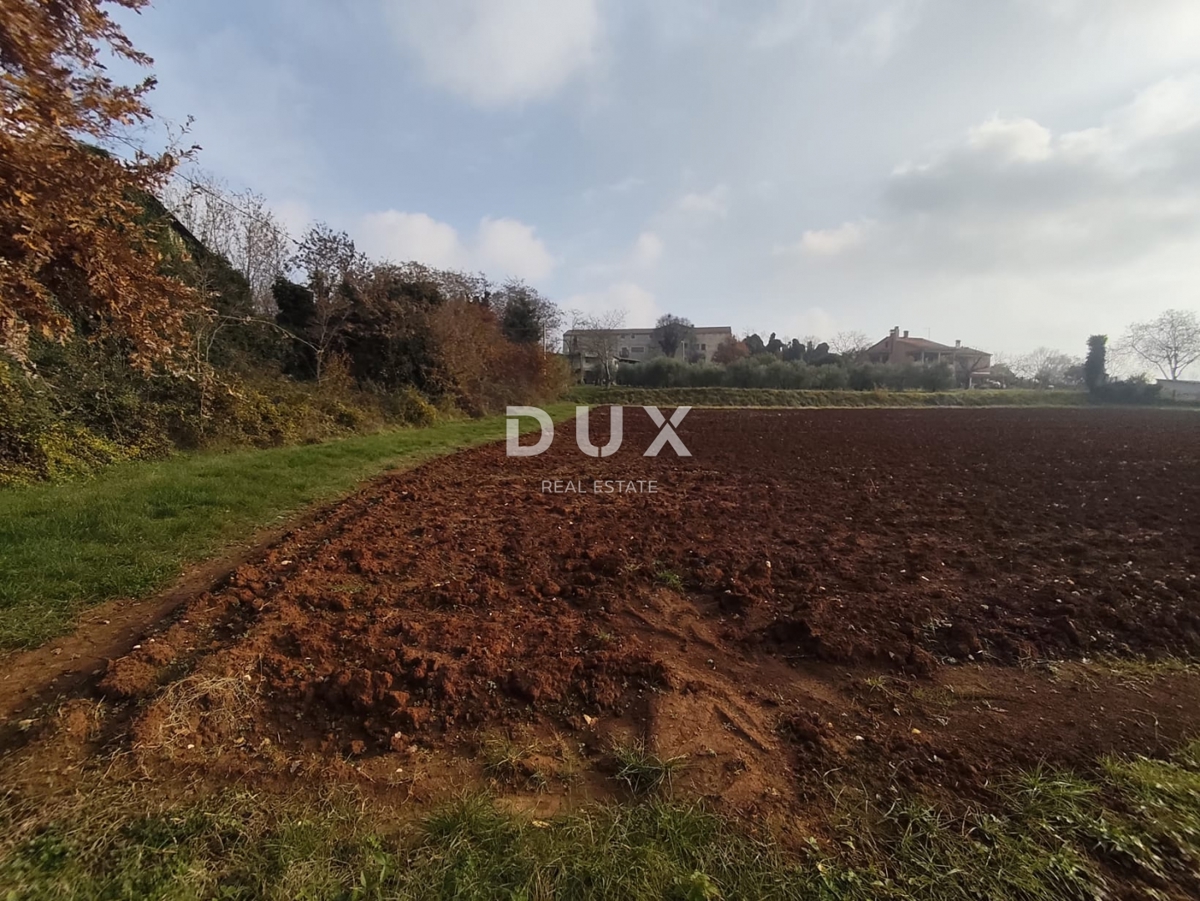 Zemljišče Baderna, Poreč, 4.440m2