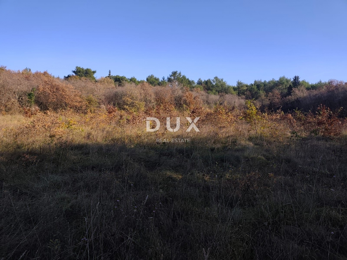 ISTRA, SAVUDRIJA - Kmetijska zemljišča v idilični okolici