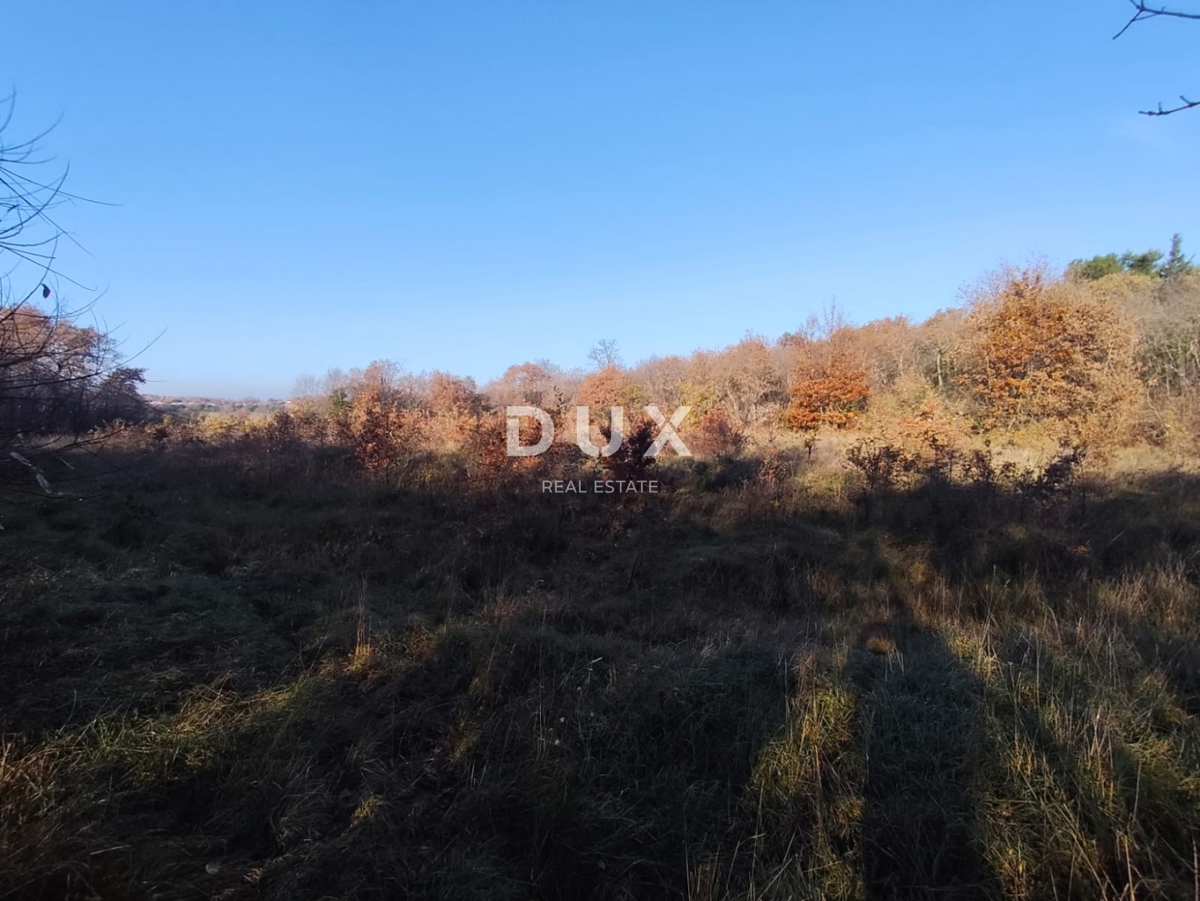 ISTRA, SAVUDRIJA - Kmetijska zemljišča v idilični okolici