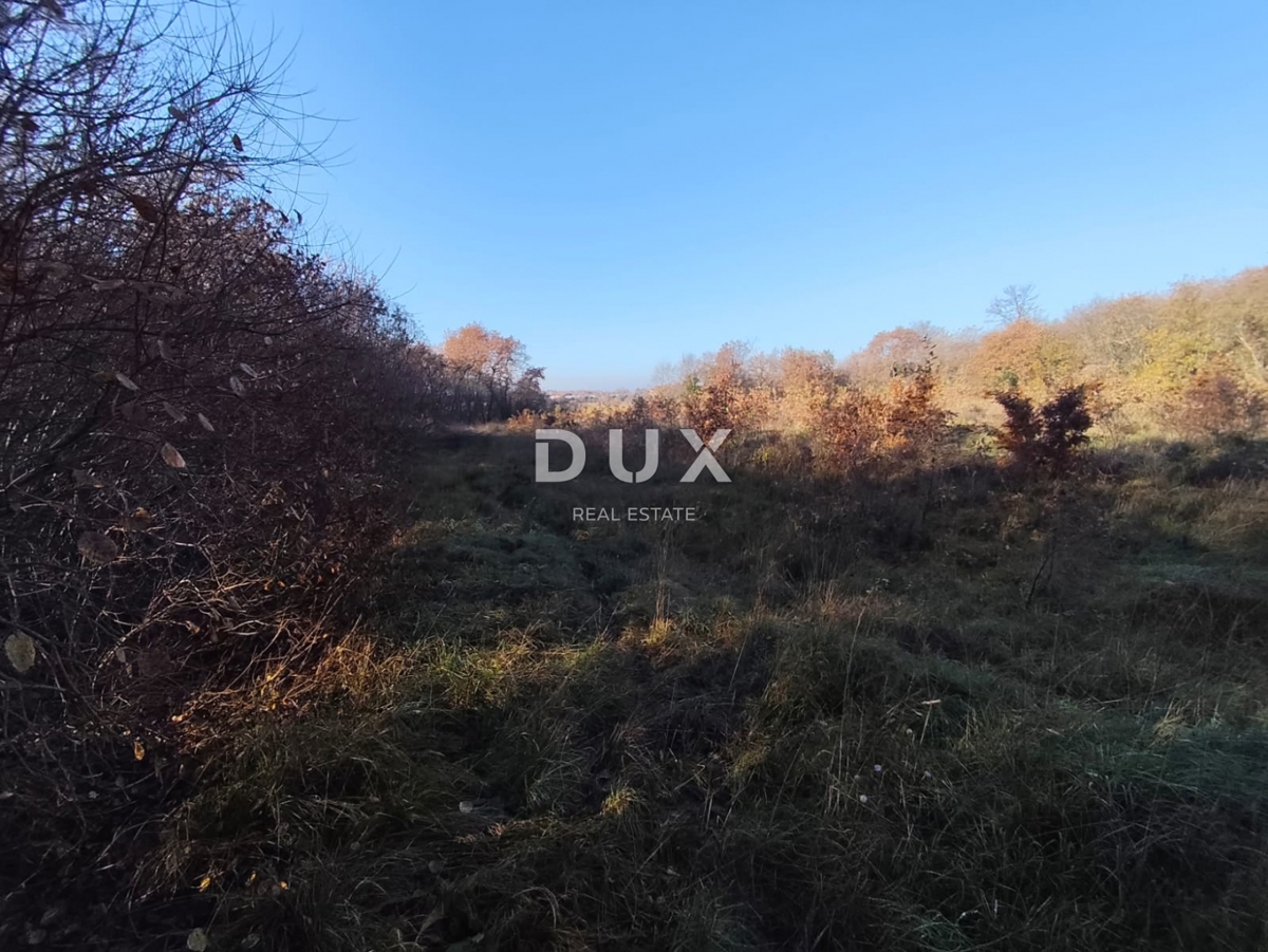 ISTRA, SAVUDRIJA - Kmetijska zemljišča v idilični okolici