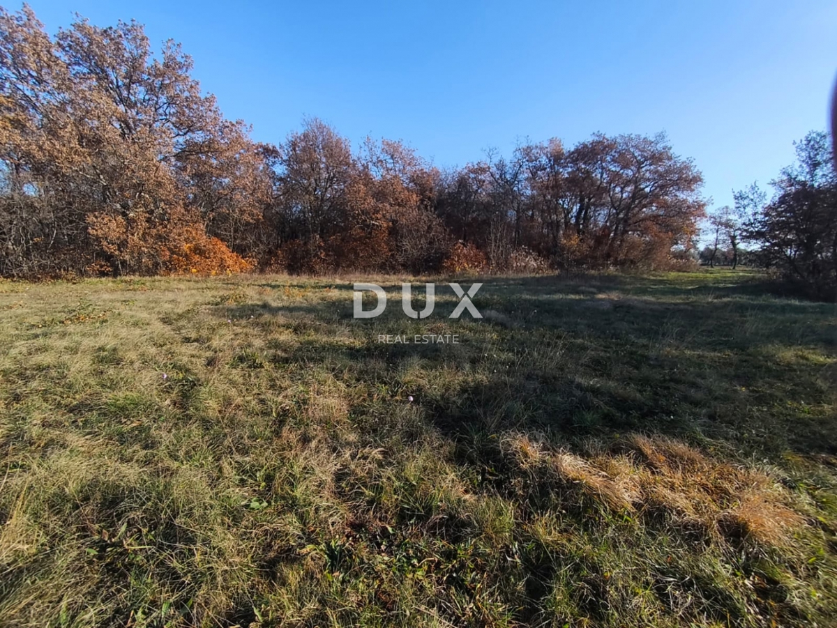 ISTRA, SAVUDRIJA - Kmetijska zemljišča v idilični okolici