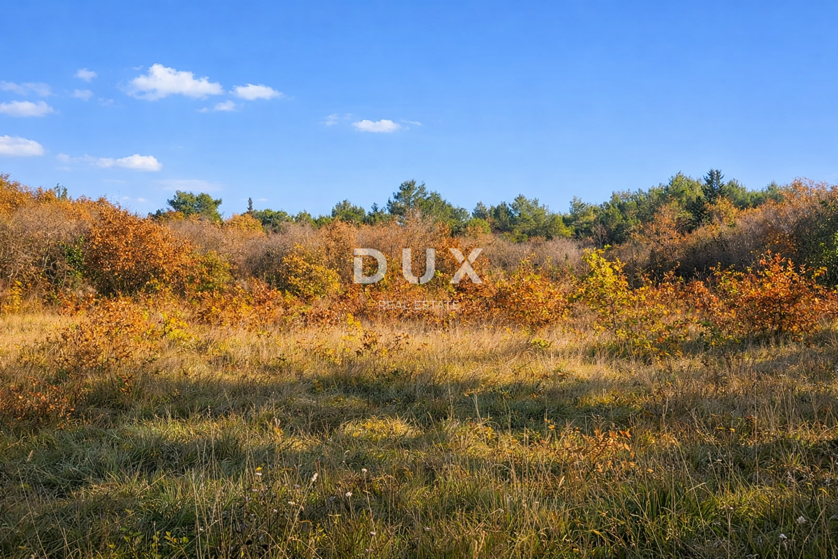 ISTRA, SAVUDRIJA - Kmetijska zemljišča v idilični okolici