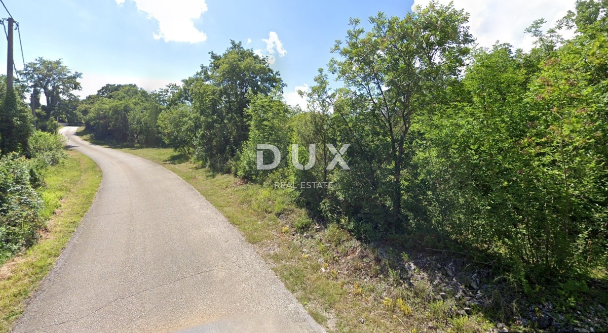 ISTRA, MARČANA - Premium projekt dveh enonadstropnih hiš z bazenom in kmetijskim zemljiščem