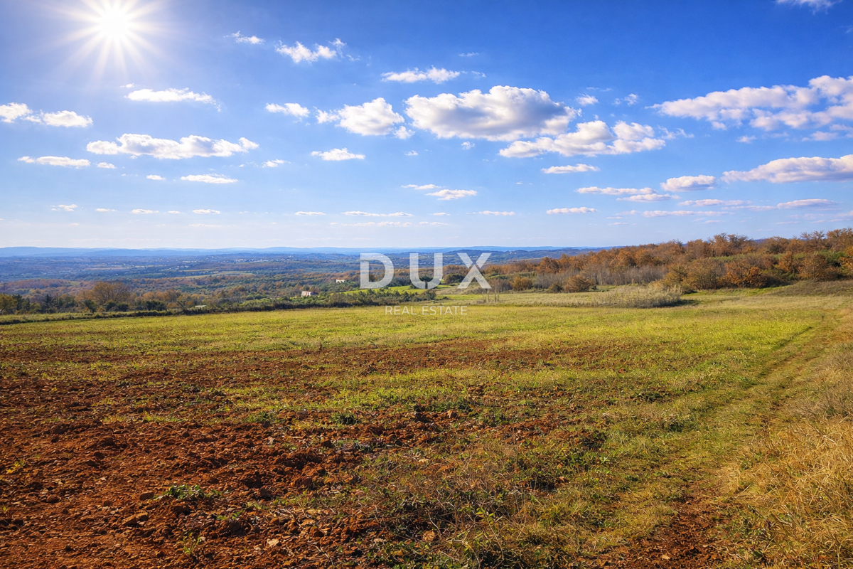 ISTRA, VIŽINADA - Kmetijska posest s potencialom
