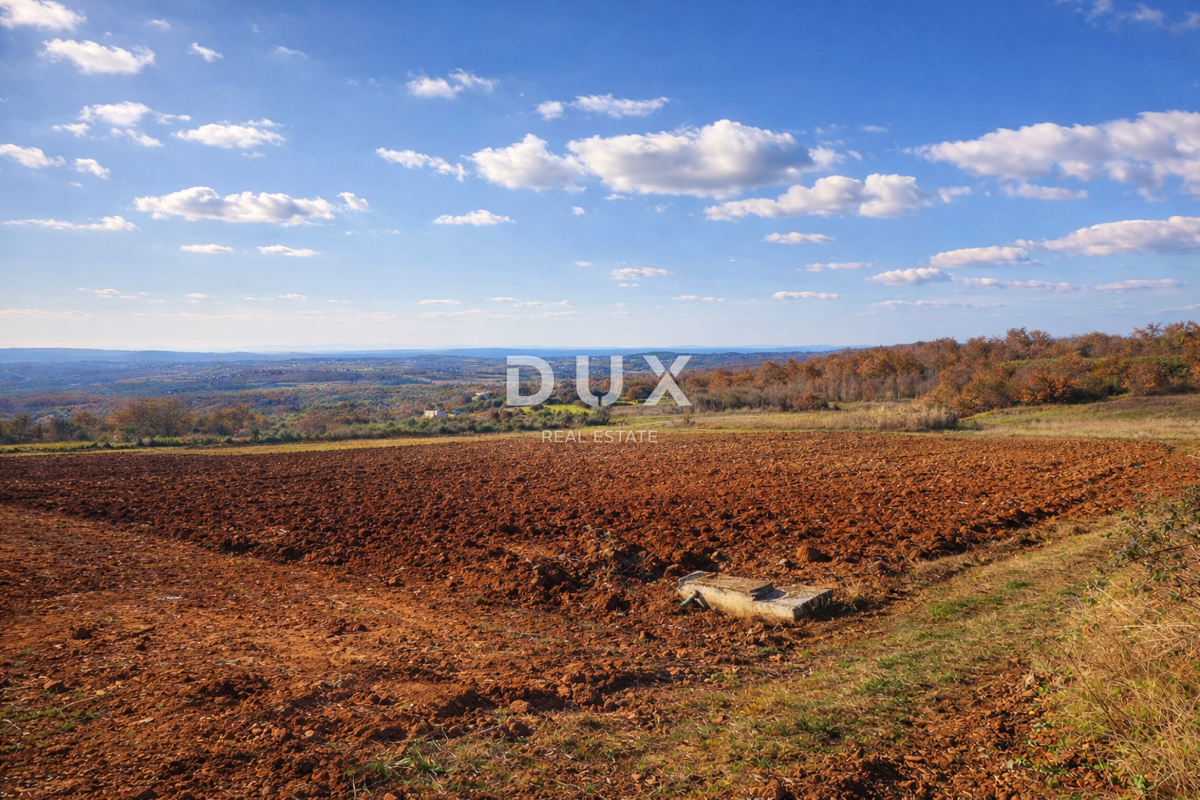 ISTRA, VIŽINADA - Kmetijska posest s potencialom