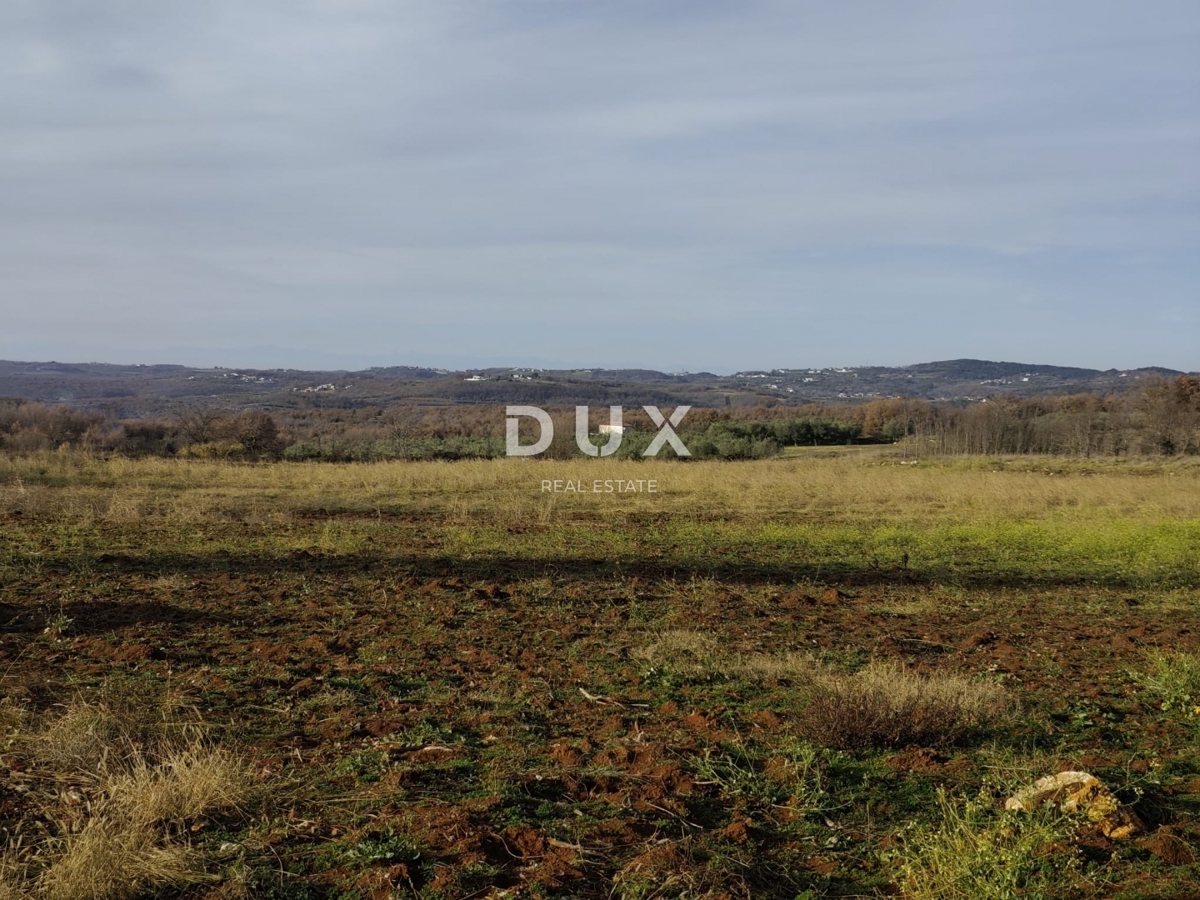 ISTRA, VIŽINADA - Kmetijska posest s potencialom