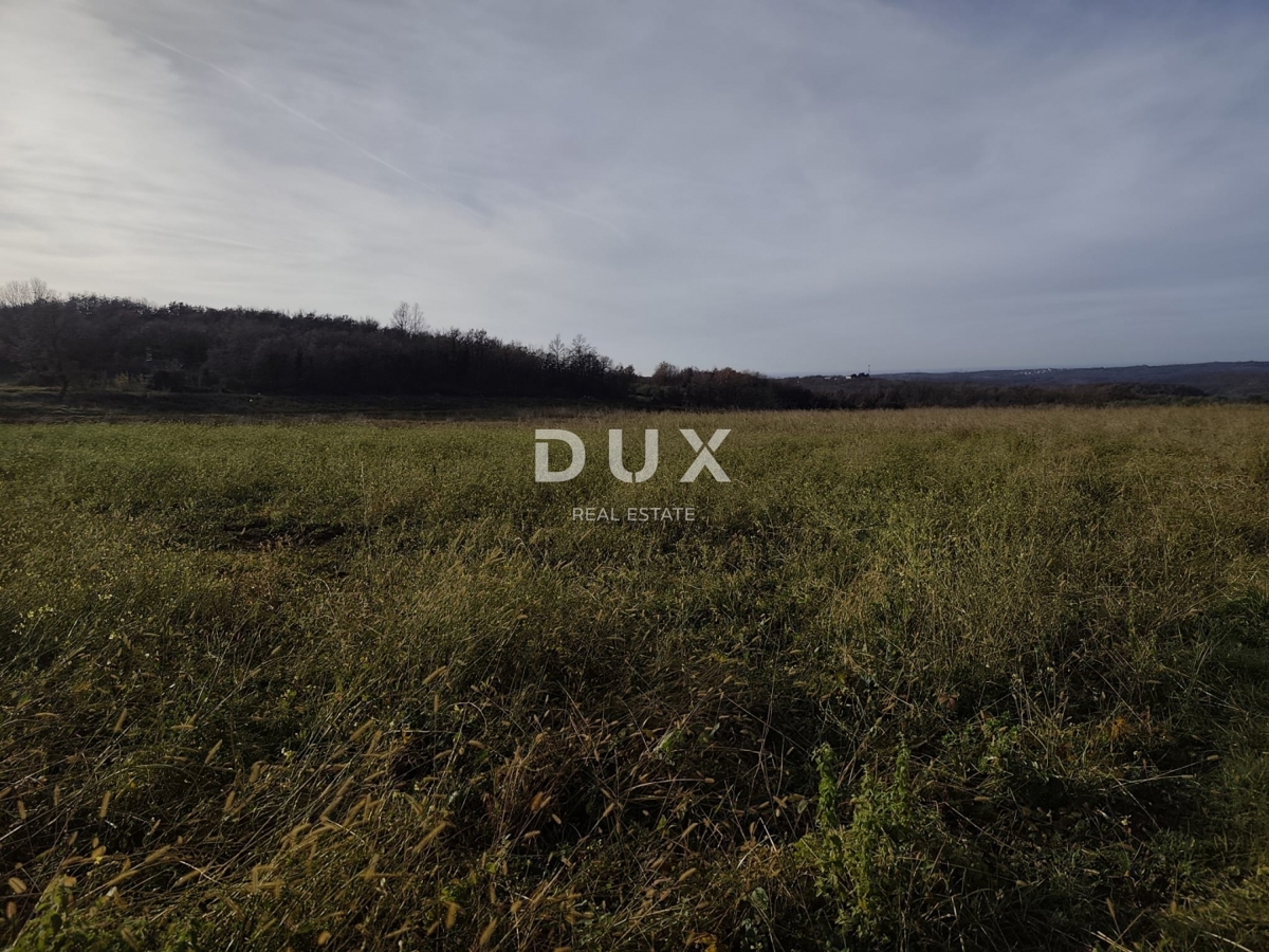 ISTRA, VIŽINADA - Kmetijska posest s potencialom