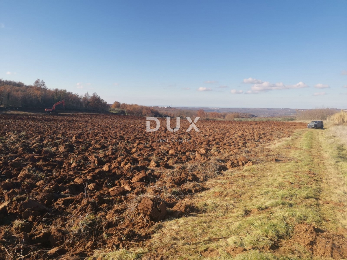 ISTRA, VIŽINADA - Kmetijska posest s potencialom