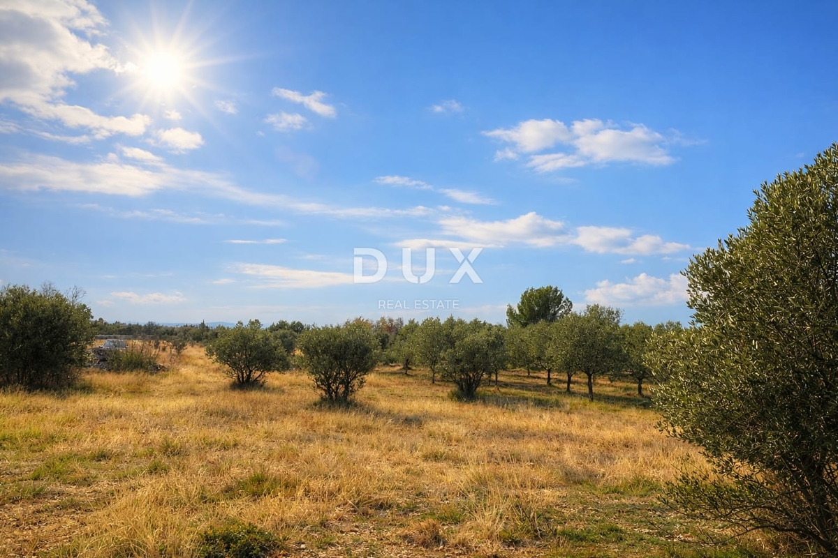 ISTRA, VODNJAN – Kmetijsko zemljišče