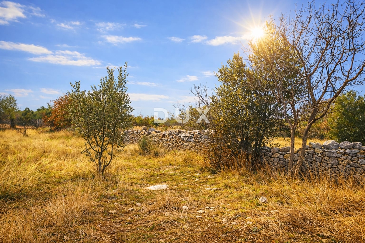 ISTRA, VODNJAN – Kmetijsko zemljišče