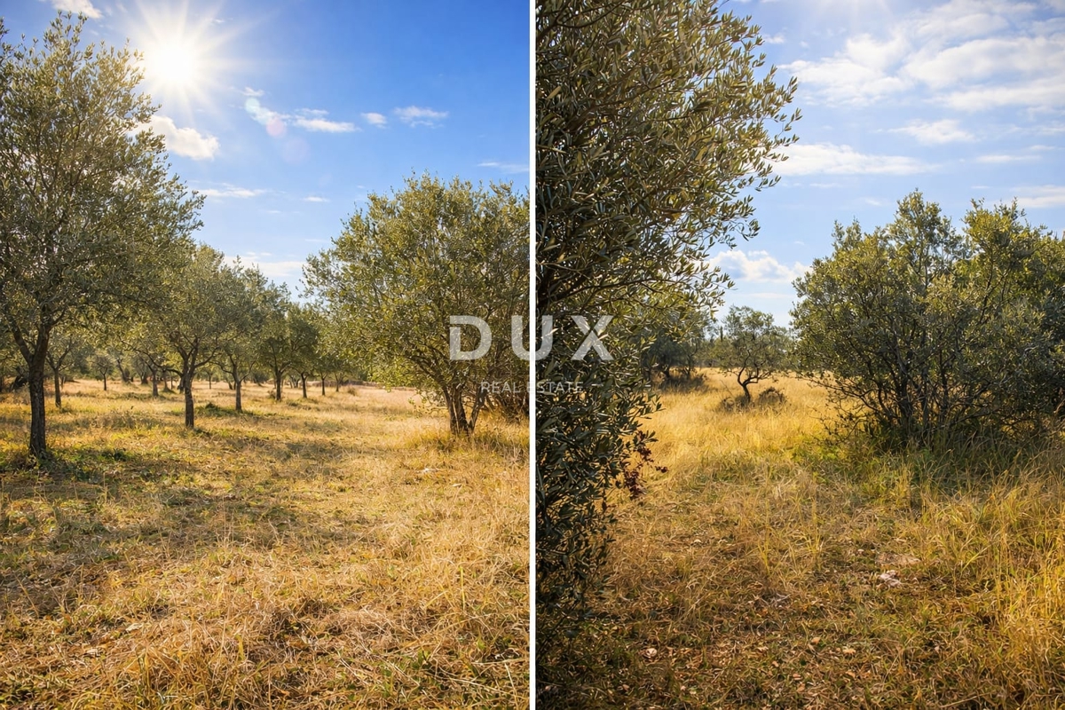 ISTRA, VODNJAN – Kmetijsko zemljišče