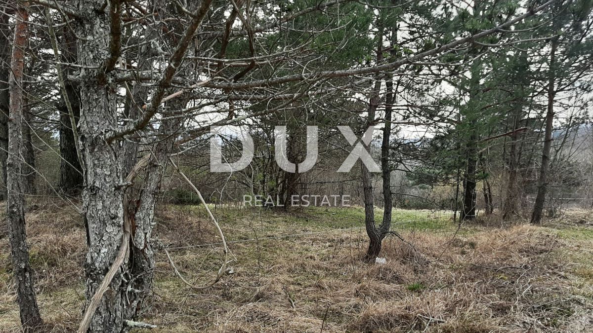 Pasjak, Matulji, 2.618m2