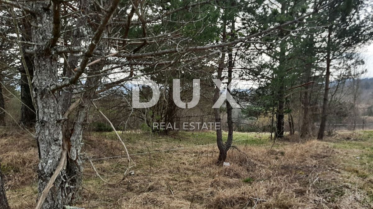 Pasjak, Matulji, 2.618m2