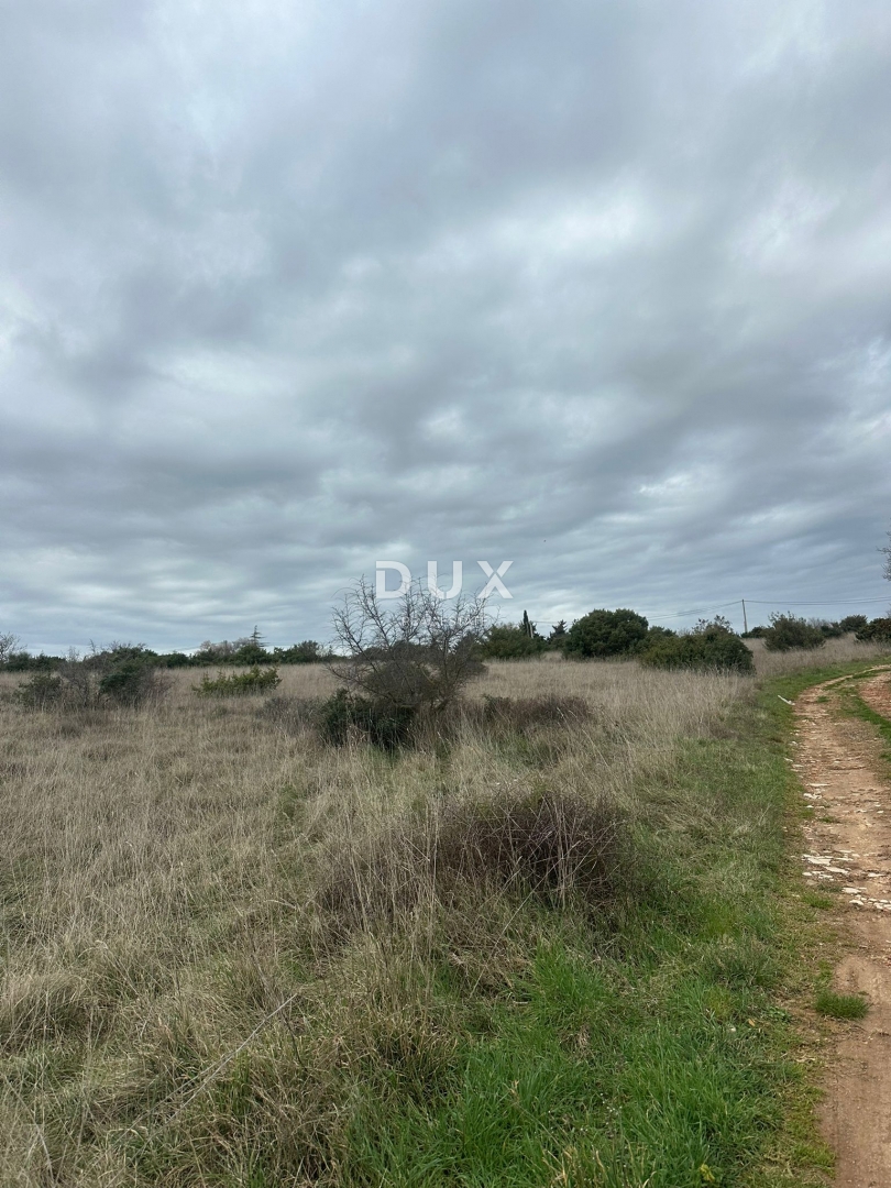 Zemljišče Monteserpo - Komunal, Pula, 9.600m2