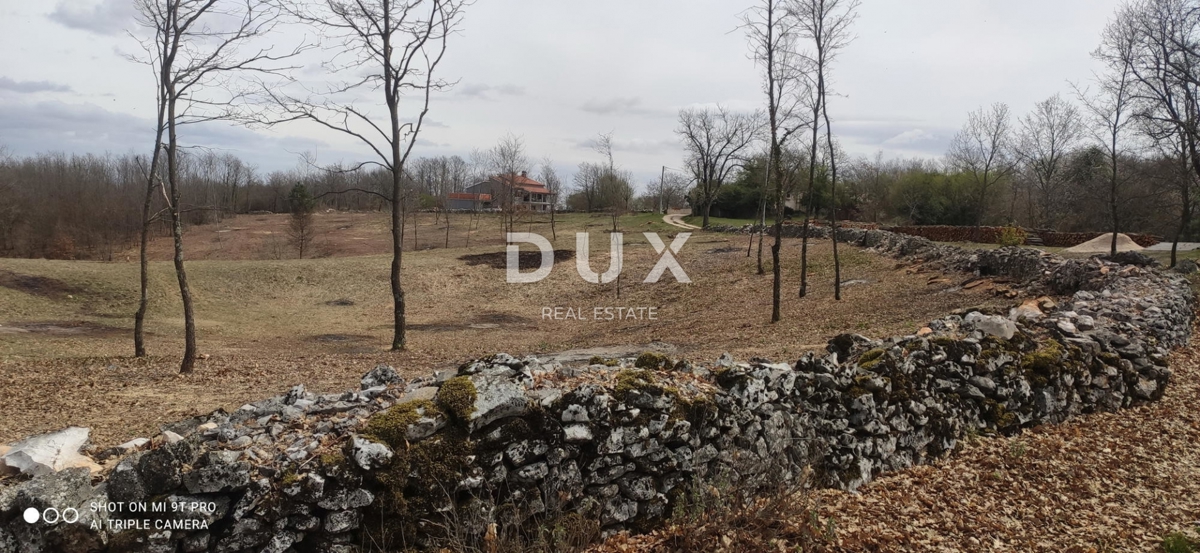 ISTRA, LINDAR - Gradbeno zemljišče obdano z naravo