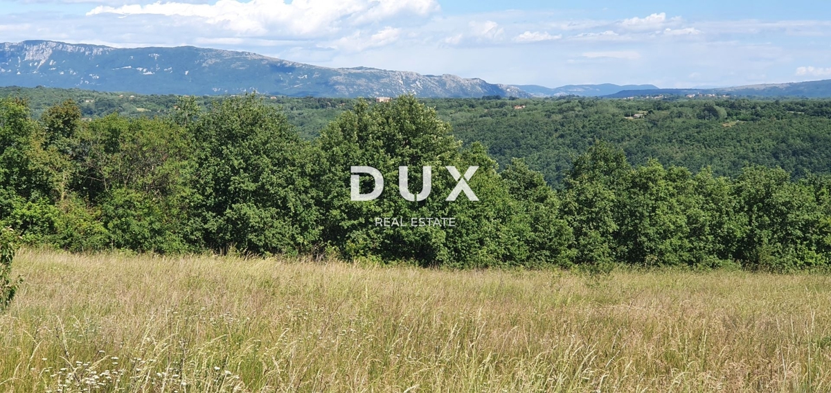 ISTRA, PIĆAN - Zemljišče z gradnjo dveh hiš, rob vasi, pogled na naravo