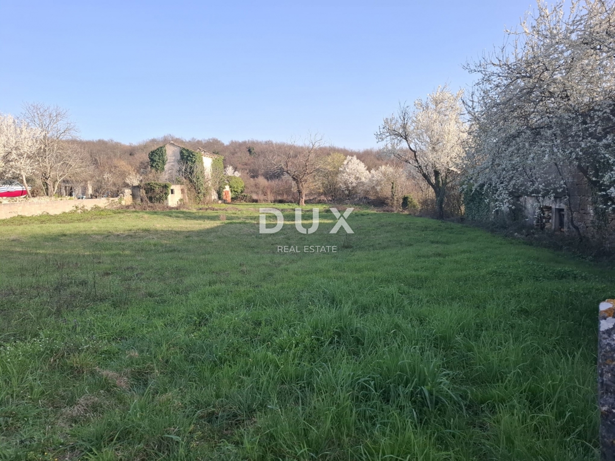 Hiša Kanfanar, 230m2