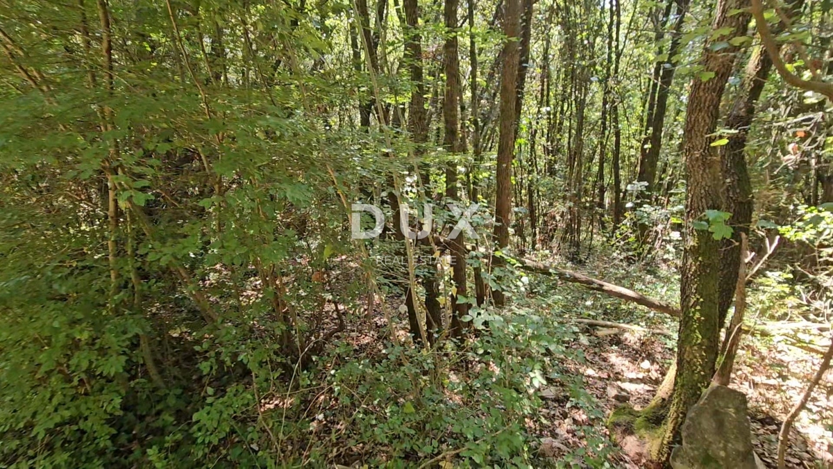 Zemljišče Pavićini, Marčana, 14.670m2