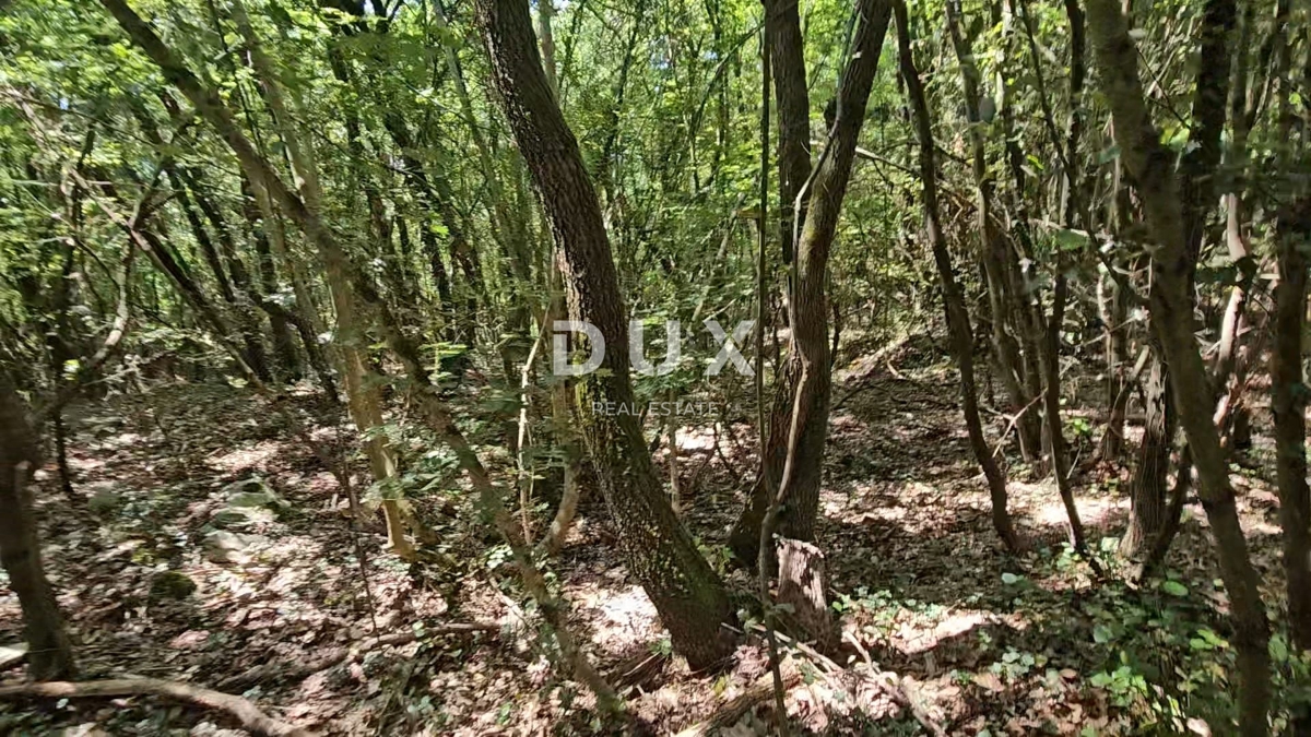 Zemljišče Pavićini, Marčana, 14.670m2