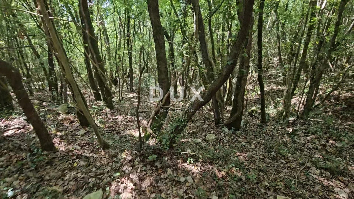 Zemljišče Pavićini, Marčana, 14.670m2