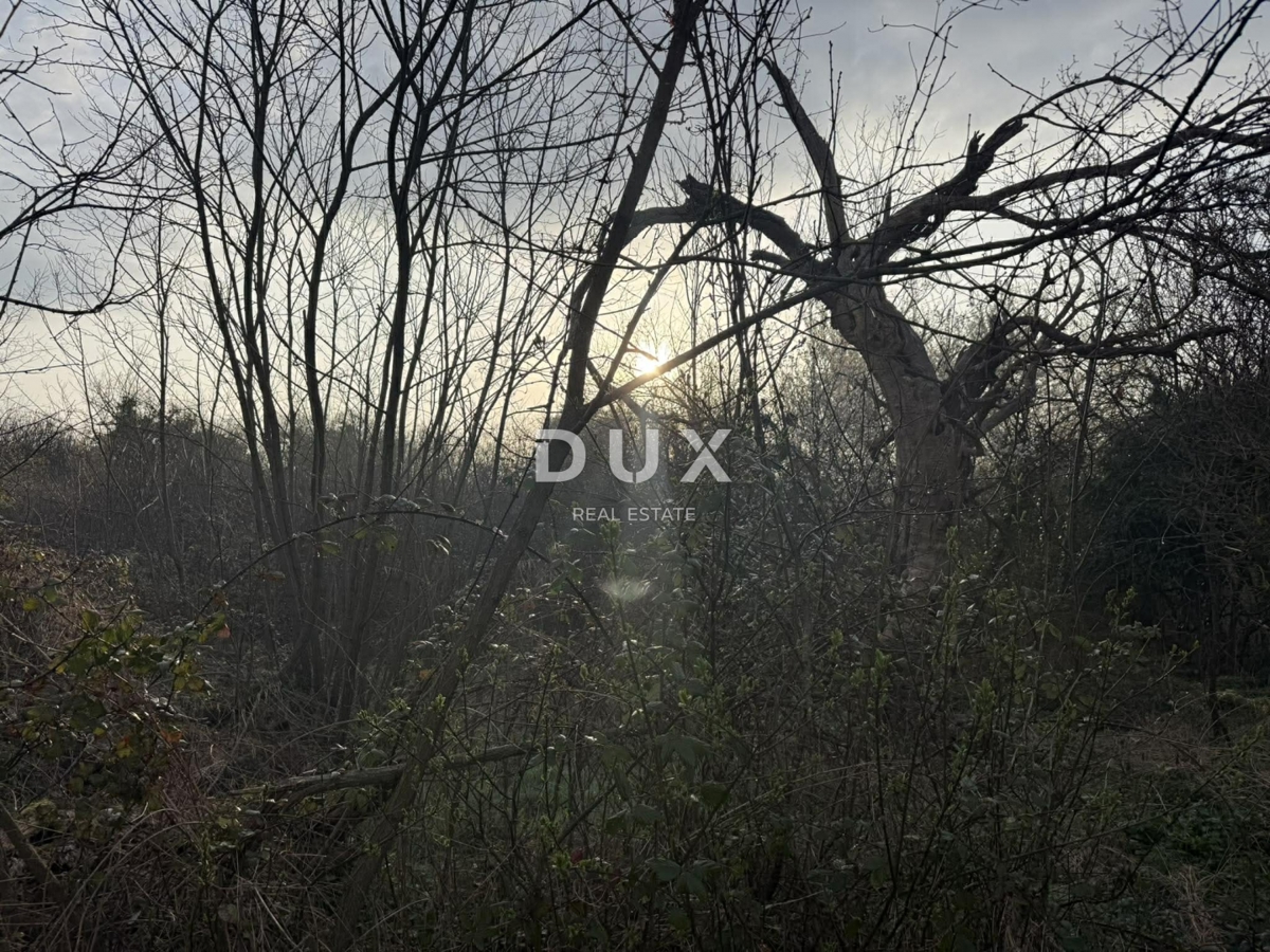 ISTRA, LABIN - Zemljišče z označenimi stavbami