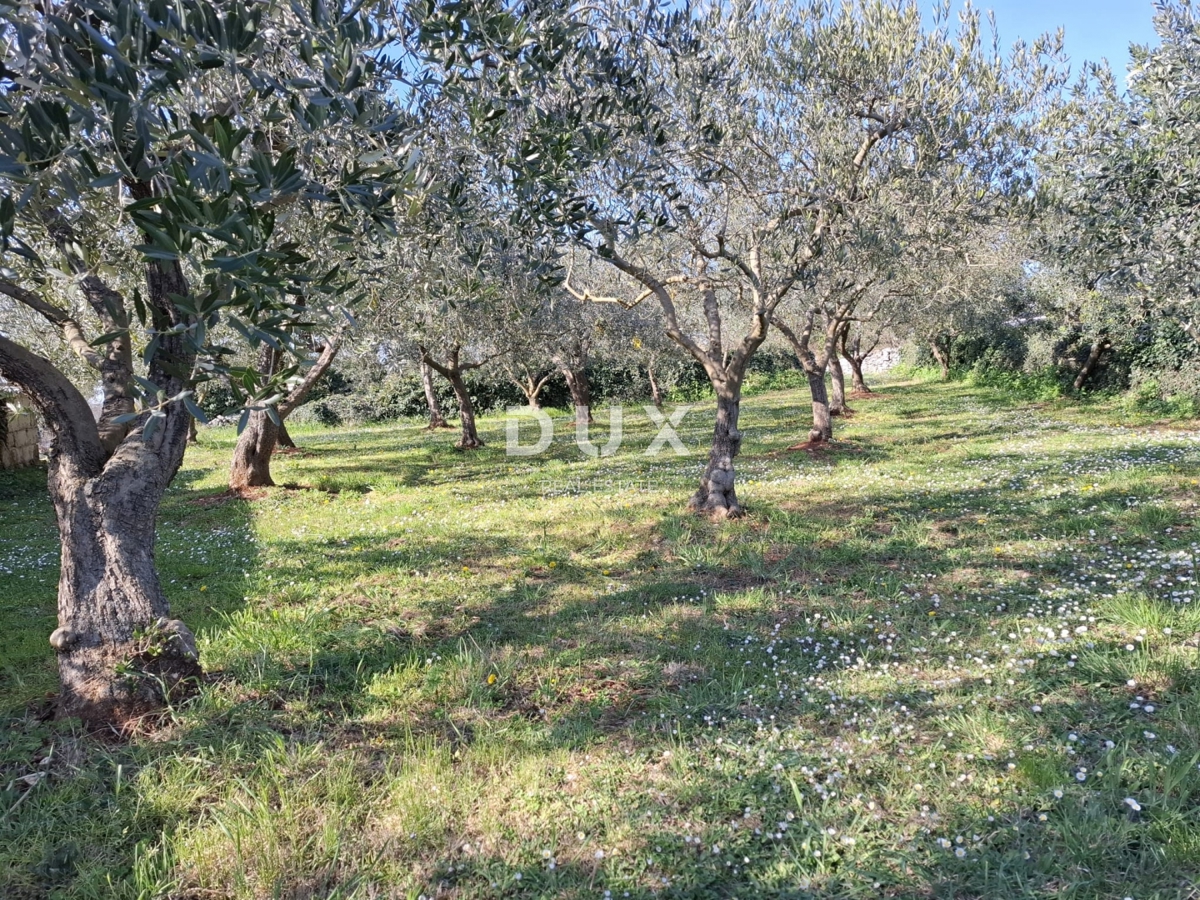 ISTRA, SVETVINČENAT - Zemljišče v mirni istrski vasici