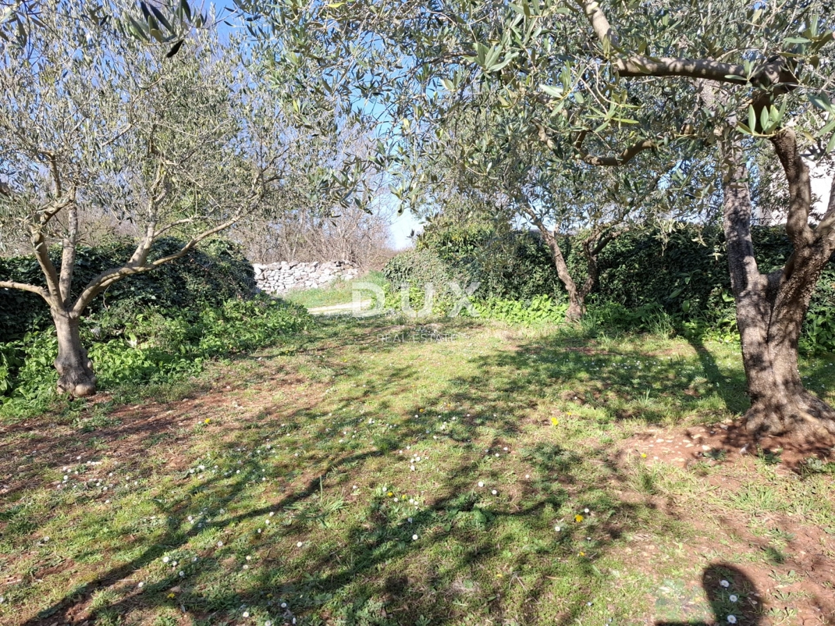 ISTRA, SVETVINČENAT - Zemljišče v mirni istrski vasici