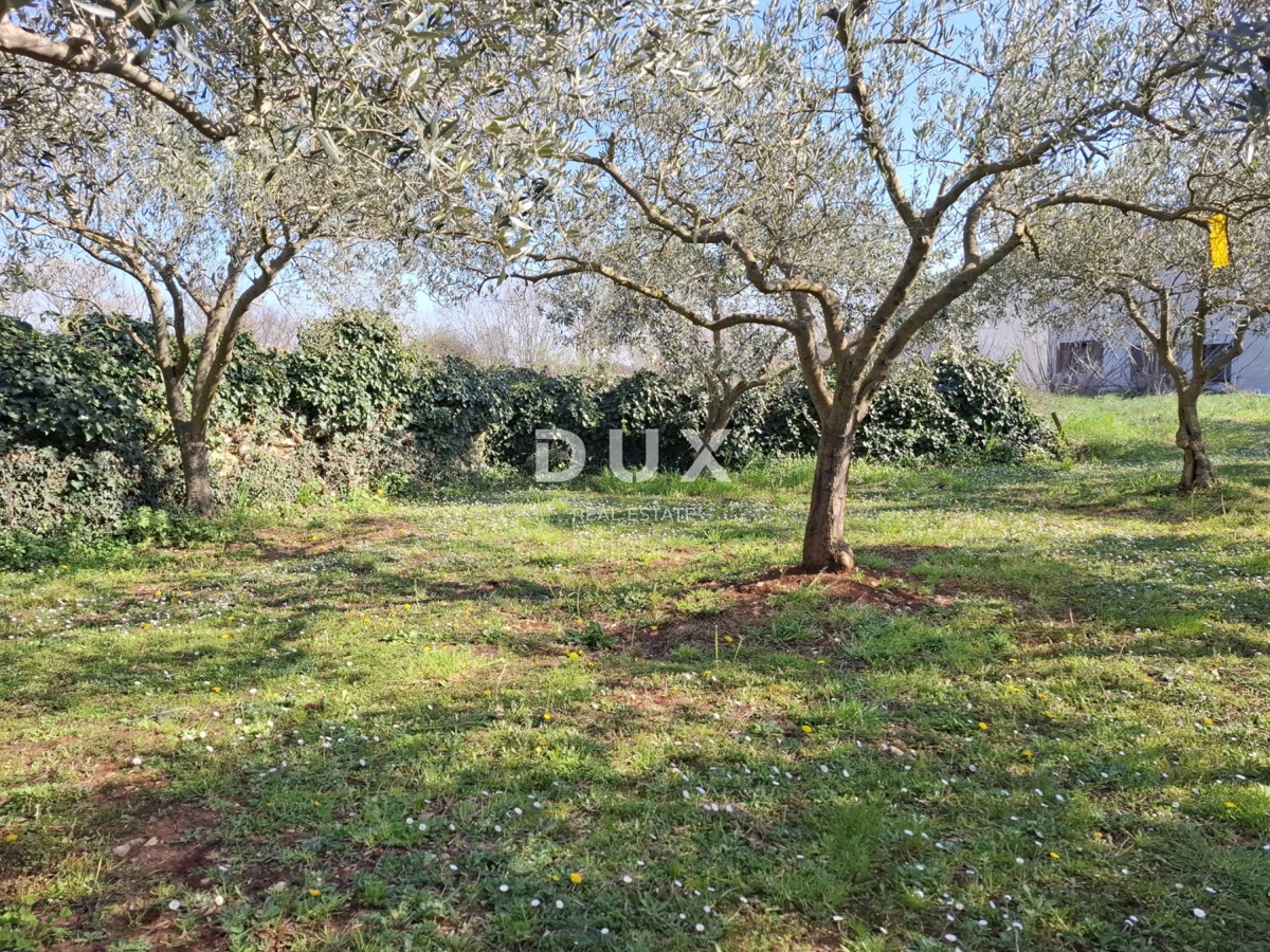 ISTRA, SVETVINČENAT - Zemljišče v mirni istrski vasici