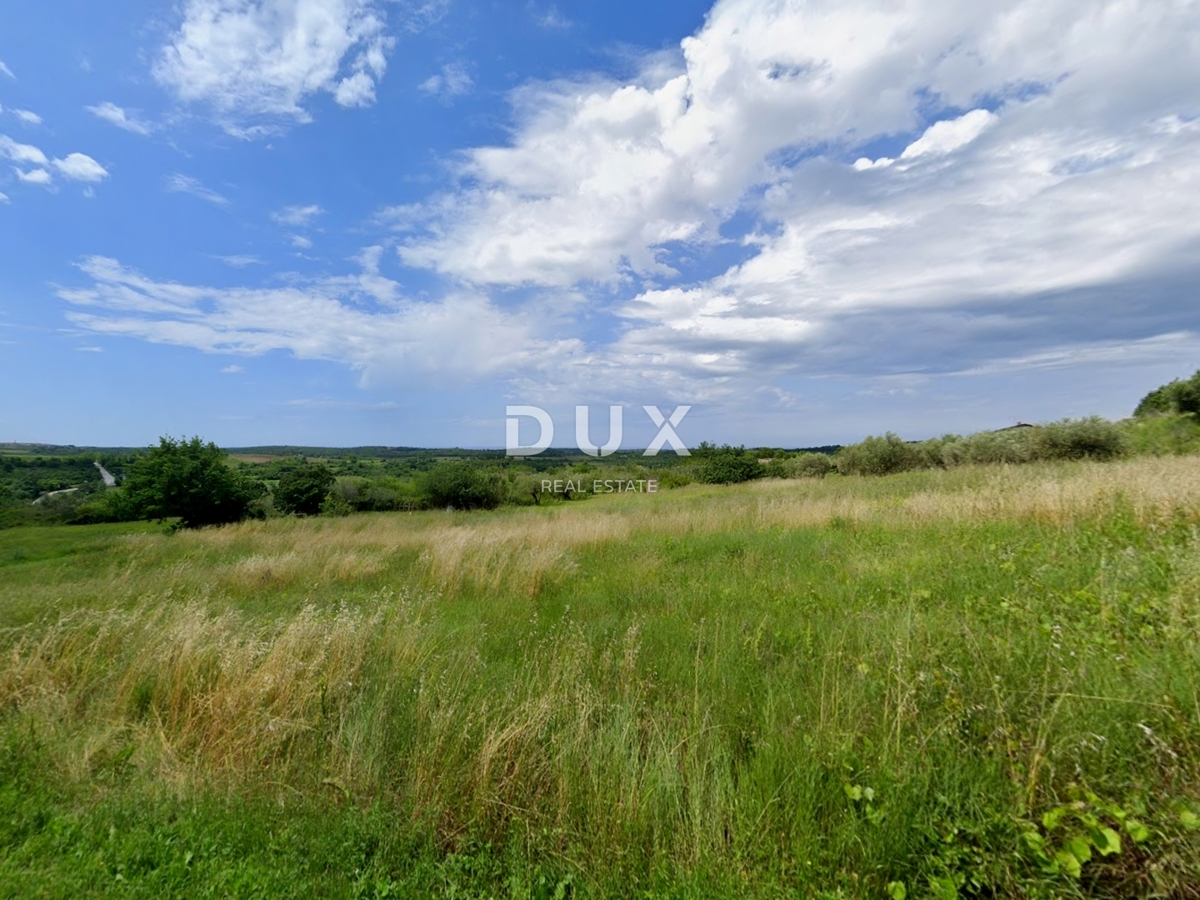 ISTRA, BUJE - Zemljišče z gradbenim dovoljenjem