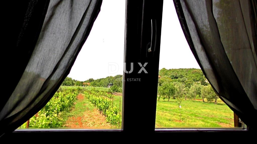 ISTRA, ROVINJ - Hiša z velikim vrtom na mirni lokaciji v bližini morja