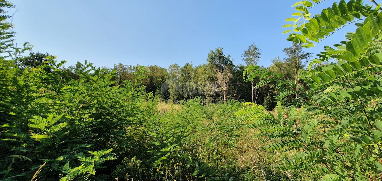 Kršan, 2.707m2