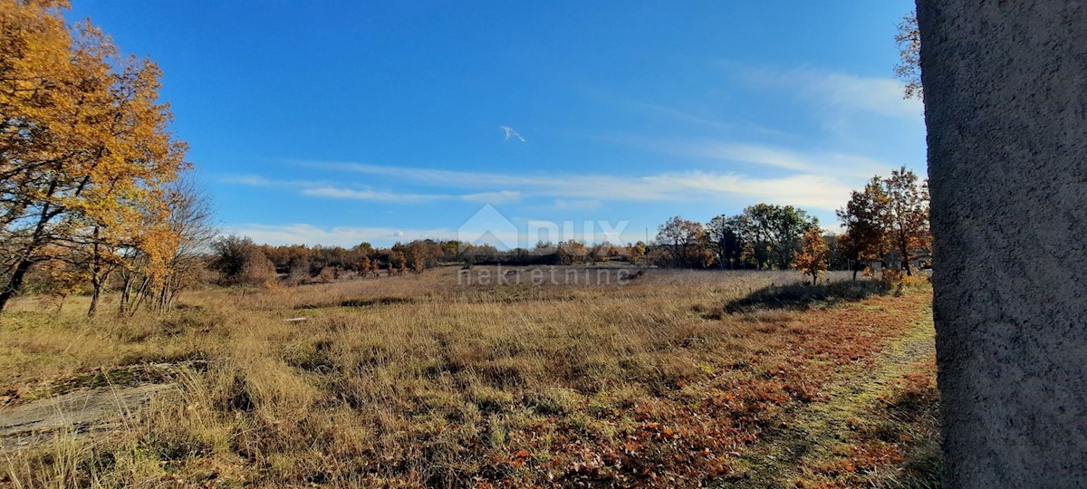 Šumber, Sveta Nedelja, 1.450m2