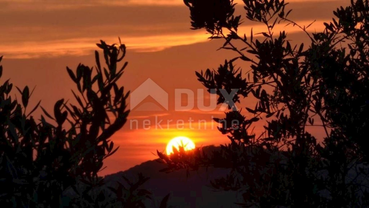 Markovac, Višnjan, 800m2