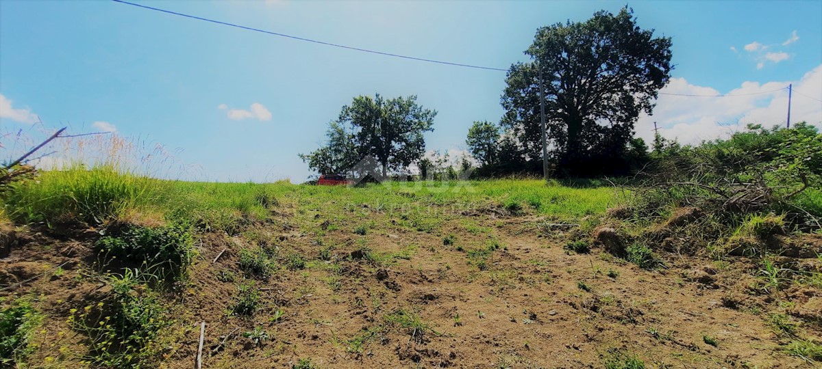 ISTRA, GROŽNJAN - Gradbeno zemljišče 1237m2 s čudovitim pogledom na morje