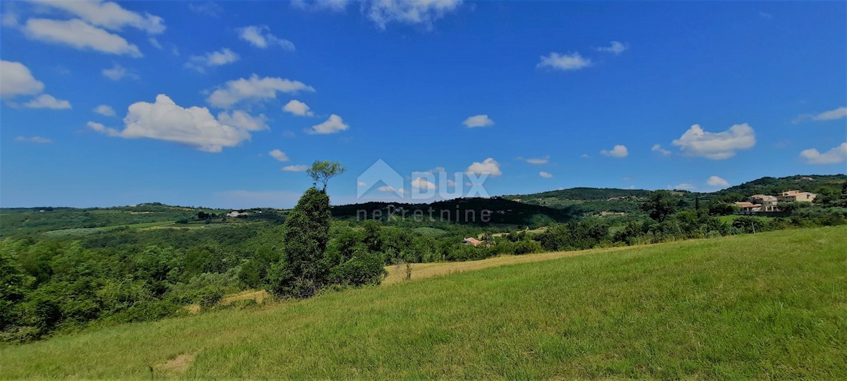 ISTRA, GROŽNJAN - Gradbeno zemljišče 1237m2 s čudovitim pogledom na morje