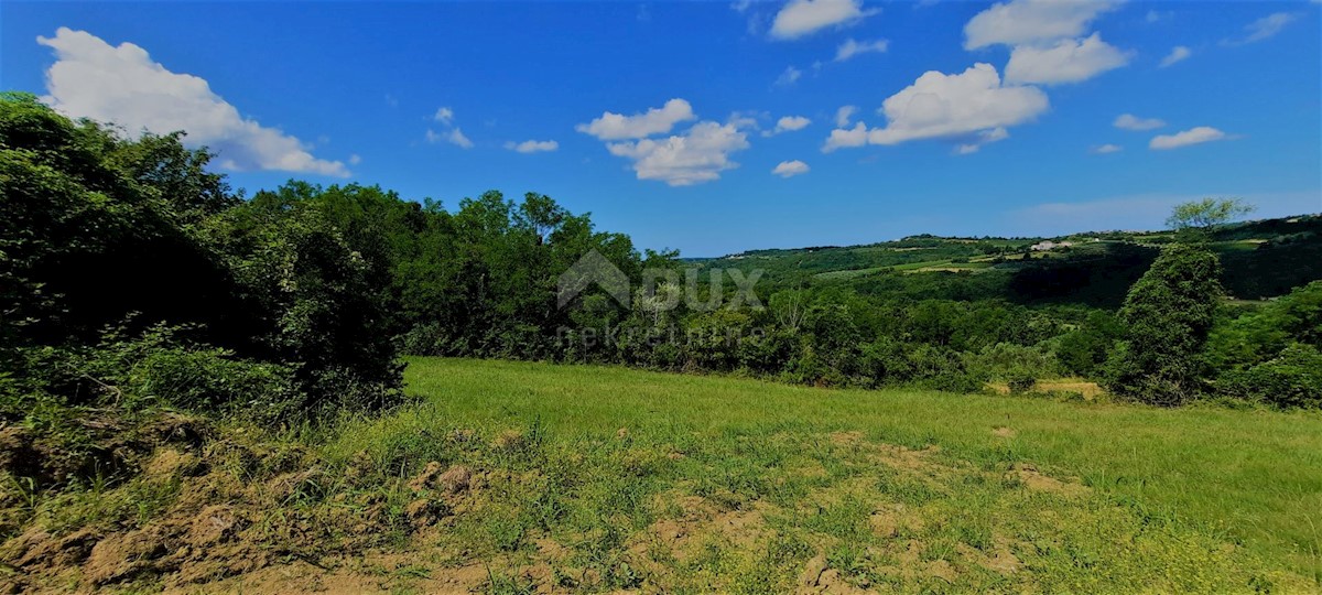 ISTRA, GROŽNJAN - Gradbeno zemljišče 1237m2 s čudovitim pogledom na morje