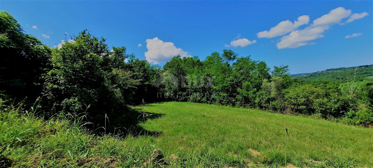 ISTRA, GROŽNJAN - Gradbeno zemljišče 1237m2 s čudovitim pogledom na morje