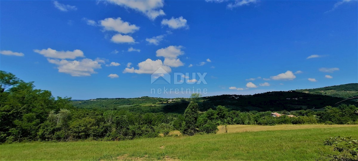 ISTRA, GROŽNJAN - Gradbeno zemljišče 1237m2 s čudovitim pogledom na morje