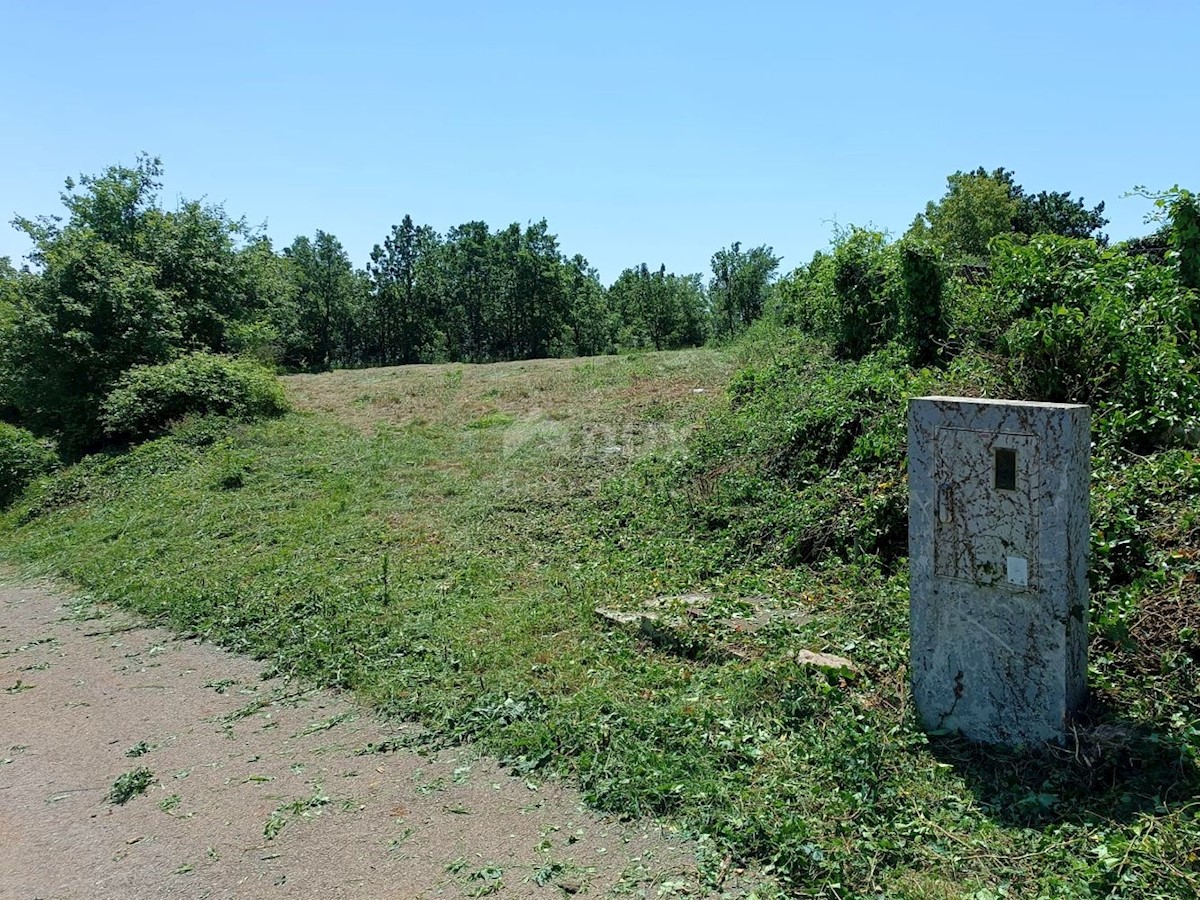 Vižinada, 552m2