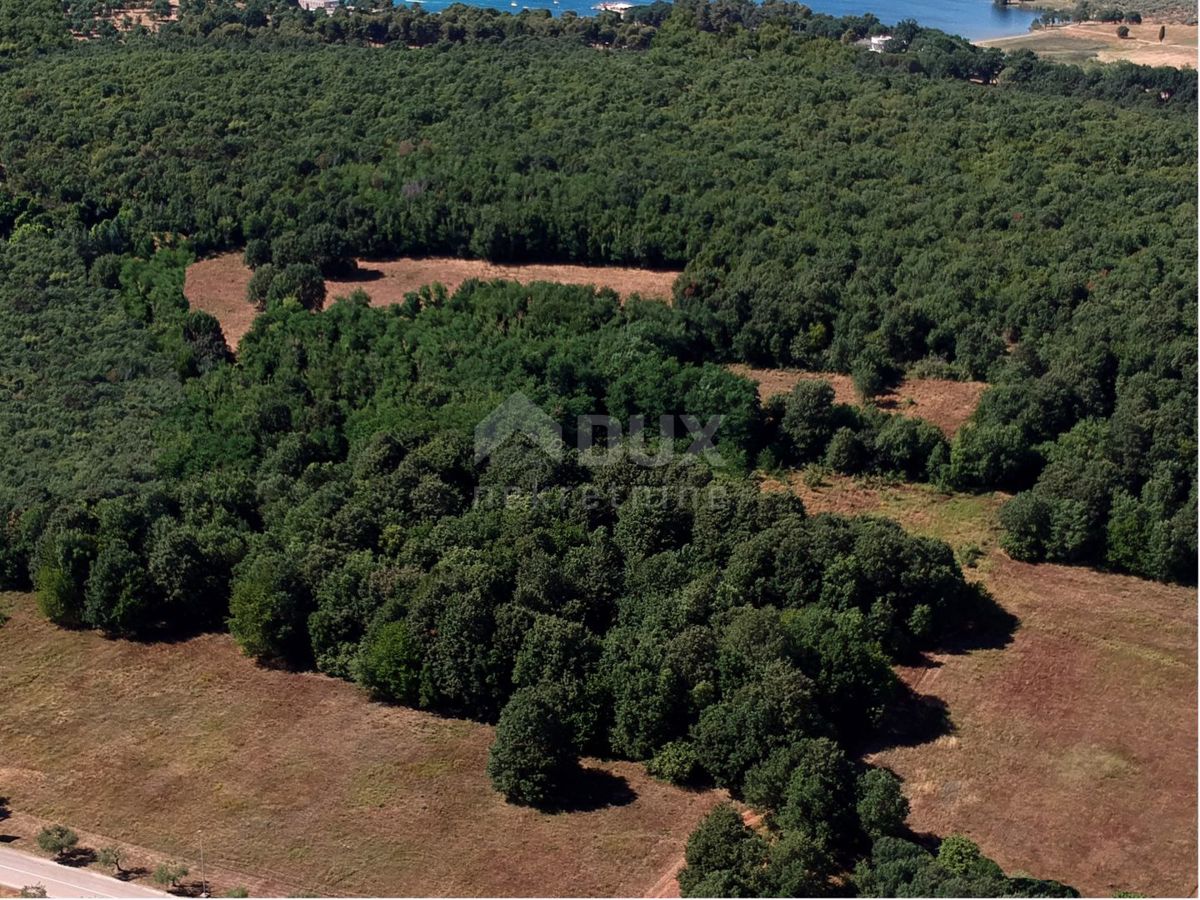 Poreč, 34.300m2