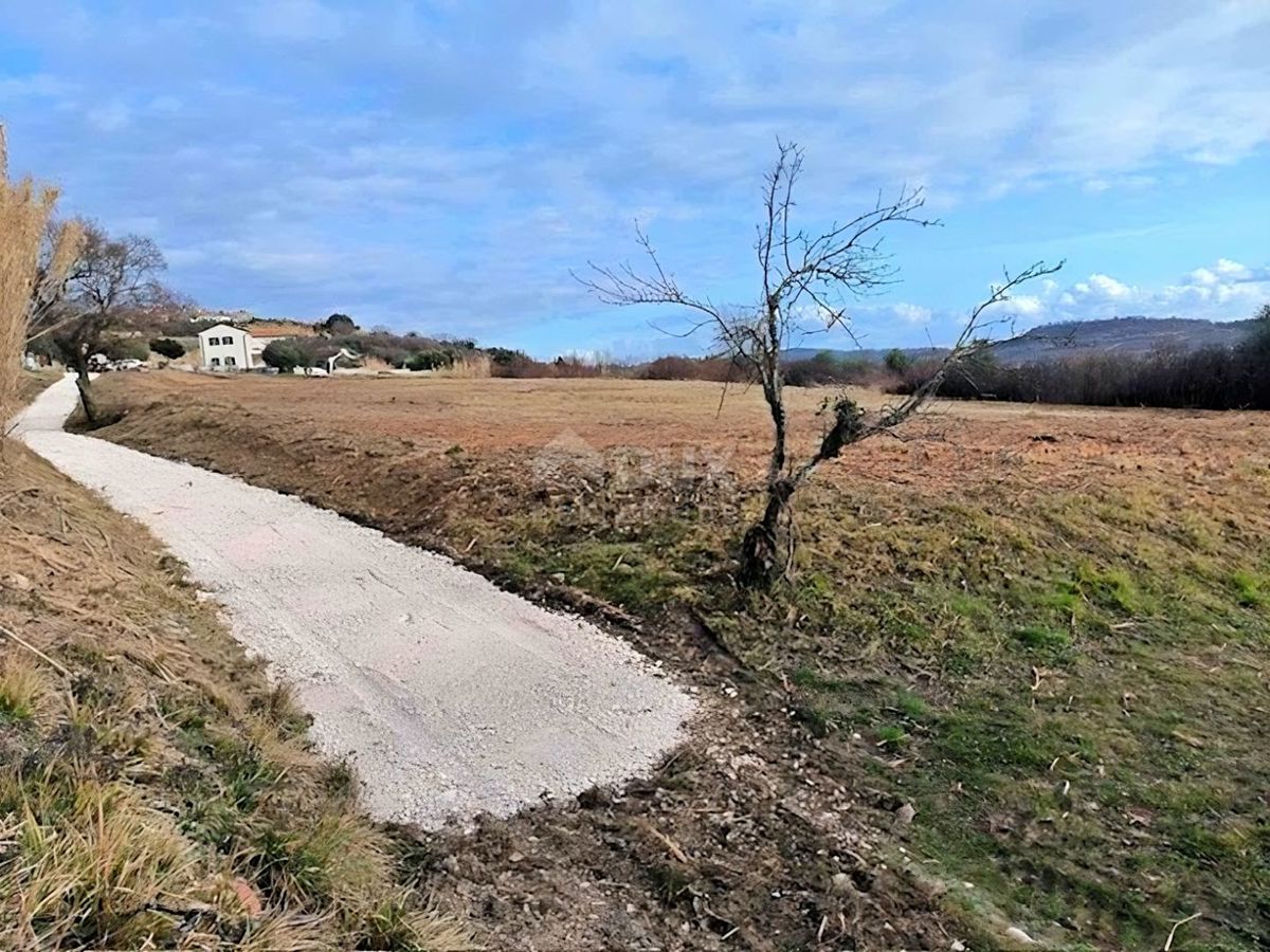 ISTRA, BUJE - Gradbeno zemljišče s panoramskim razgledom