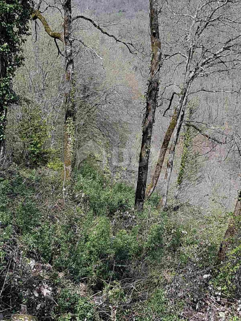 OPATIJA, BREGI - gradbeno zemljišče 1945m2 s pogledom na morje za poslovno-stanovanjski ali stanovanjski objekt - oddaja apartmajev / družinske hiše / vile / hiše - počitnice z bazenom